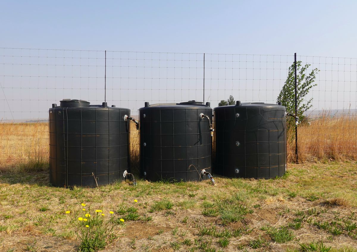 Above-ground poly water storage tanks on a South African farm